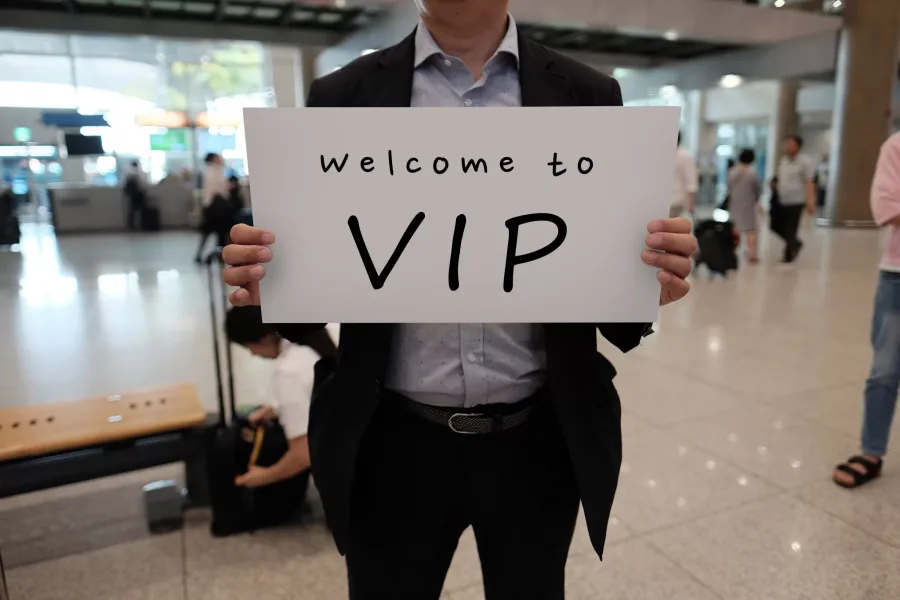 VIP-встреча с табличкой — Delos